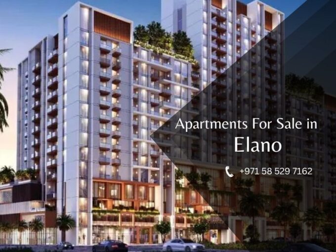 Elano, Arjan Dubai - Miva.ae