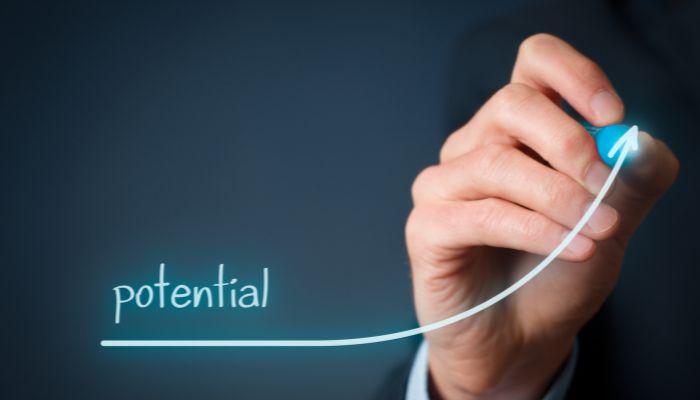 Potential Capital Appreciation