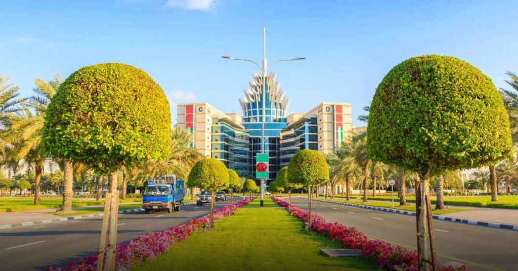 Dubai Silicon Oasis (DSO)